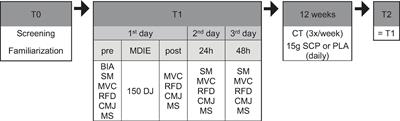 Influence of specific collagen peptides and 12-week concurrent training on recovery-related biomechanical characteristics following exercise-induced muscle damage—A randomized controlled trial